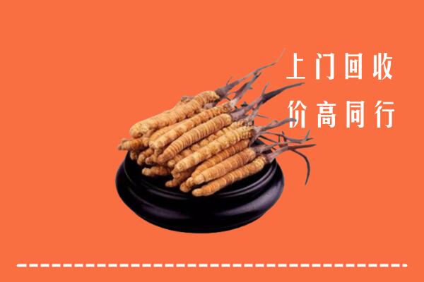 高价求购：十堰市郧阳区回收散虫草