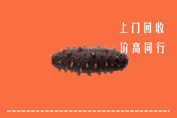 高价求购：十堰市郧阳区回收海参