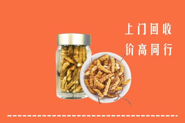 十堰市郧阳区回收冬虫夏草