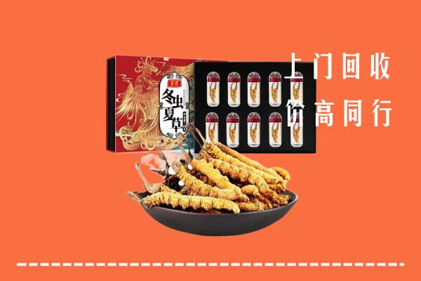 十堰市郧阳区回收虫草